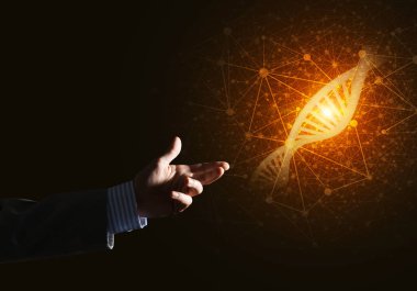 DNA molekülü araştırma sunma el