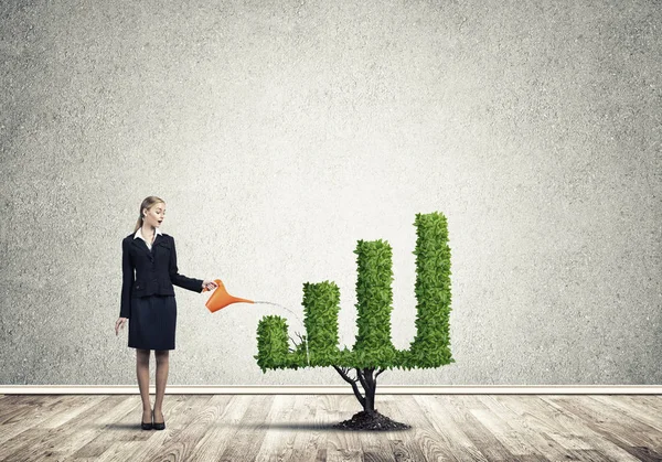 Businesswoman watering plant — Stock Photo, Image