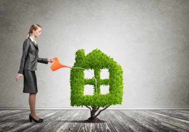 İşkadını sulama tesisi 