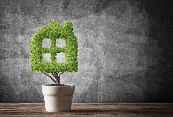 Ekoloji geri dönüşüm kavramı  