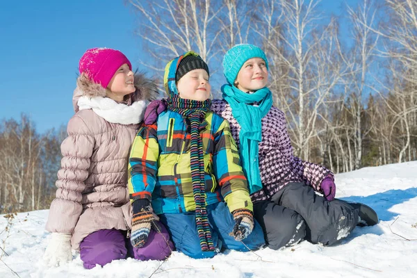 快乐的孩子，在冬季公园 — 图库照片