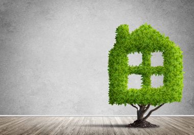 Gayrimenkul yatırımları