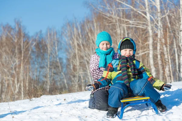 两个可爱的孩子们骑雪橇 — 图库照片