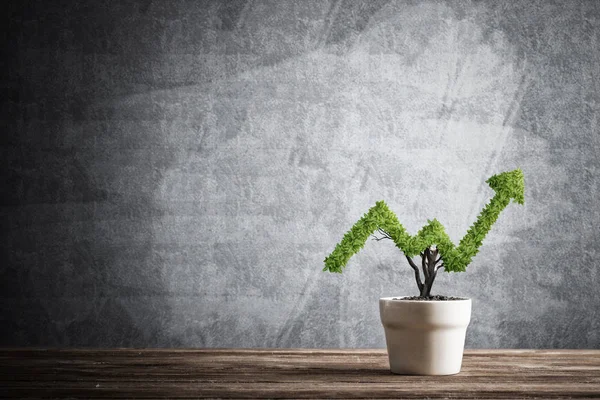 Planta pequeña en maceta —  Fotos de Stock