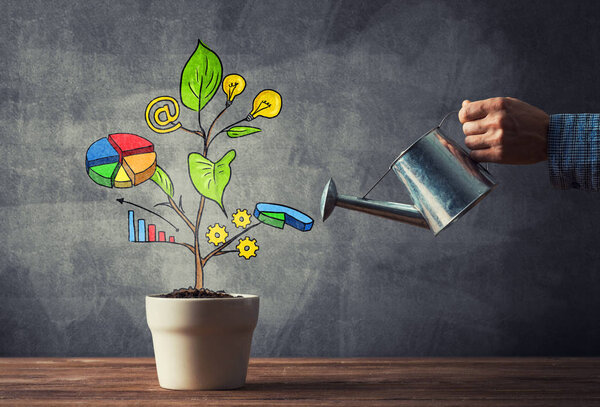 concept of business plan and strategy