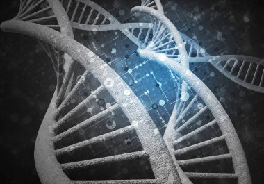 DNA molekülü araştırma kavramı