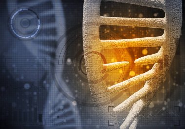 DNA molekülü araştırma kavramı