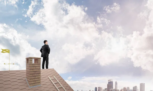 Zakenman staande op het dak van het huis — Stockfoto