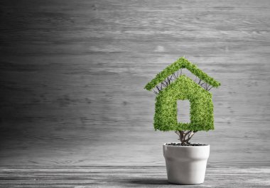 Ekoloji geri dönüşüm kavramı