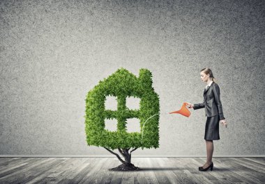 İşkadını sulama tesisi