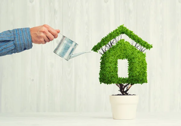 Ekoloji geri dönüşüm kavramı