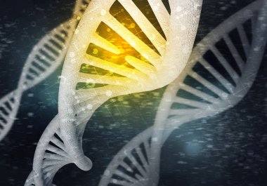 DNA molekülü araştırma kavramı