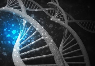 DNA molekülü araştırma kavramı