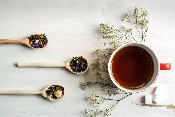 Herbata ziołowa w filiżance — Zdjęcie stockowe
