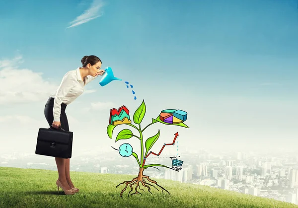 Businesswoman watering drawn growth concept — Stock Photo, Image