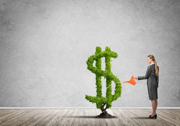 Attractive businesswoman watering plant — Stock Photo, Image