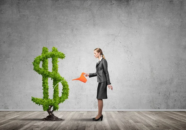 Attractive businesswoman watering plant — Stock Photo, Image