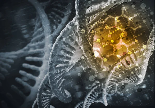 Concepto de investigación de moléculas de ADN —  Fotos de Stock