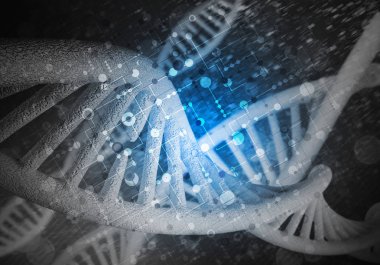 DNA molekülü araştırma kavramı