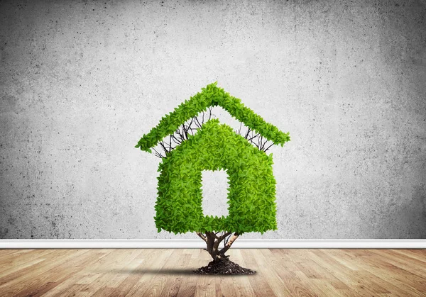 Huis vormige groene boom — Stockfoto