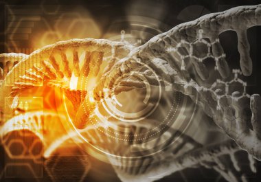 DNA molekülü araştırma kavramı