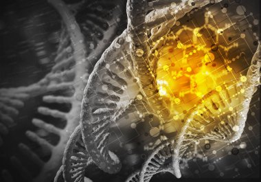 DNA molekülü araştırma kavramı