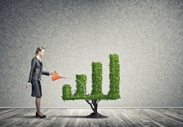 Attractive businesswoman watering plant — Stock Photo, Image