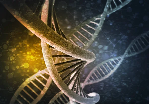 DNA molekülü araştırma kavramı