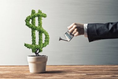  kadın sulama yeşil Doları ağaç