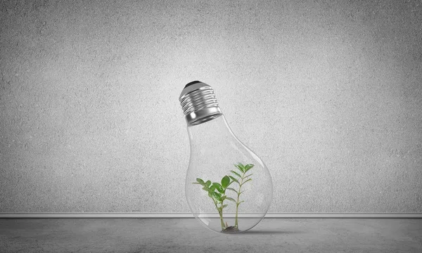 Lightbulb with green plant inside — Stock Photo, Image