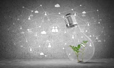 İçinde yeşil bitki olan ampul. 