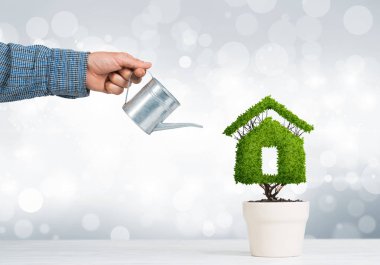 Erkek el gibi ev, ekoloji geri dönüşüm ve çevre inşaat kavramı şeklinde tencerede yeşil bitki sulama