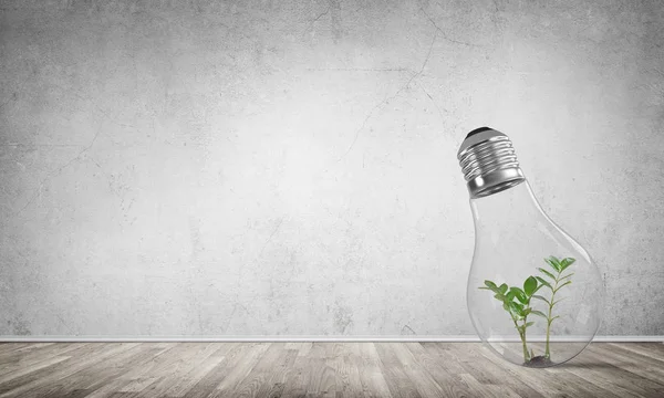 Glass lightbulb with green plant inside in empty room with grey wall on background, 3D rendering