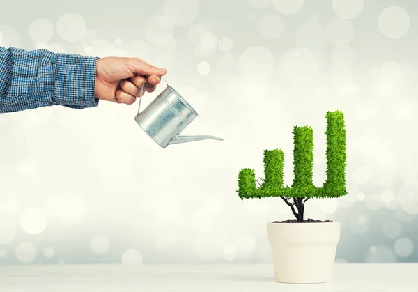 Mano Del Hombre Regando Una Pequeña Planta Maceta Forma Gráfico —  Fotos de Stock