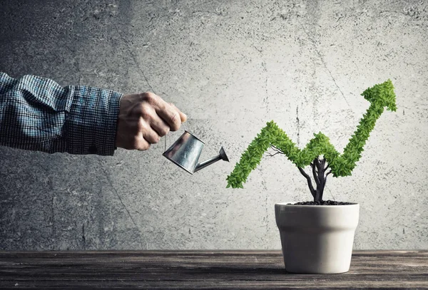 Hand Van Mens Drenken Kleine Plant Pot Vorm Van Groeiende — Stockfoto