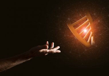 Kavram olarak DNA molekülü araştırma