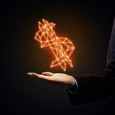 İşadamı el palm parlayan dolar işareti gösterilen kapatın