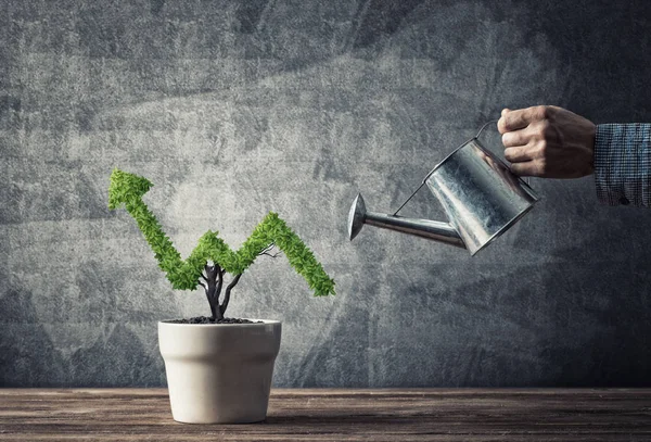 Hand Van Mens Drenken Kleine Plant Pot Vorm Van Groeiende — Stockfoto