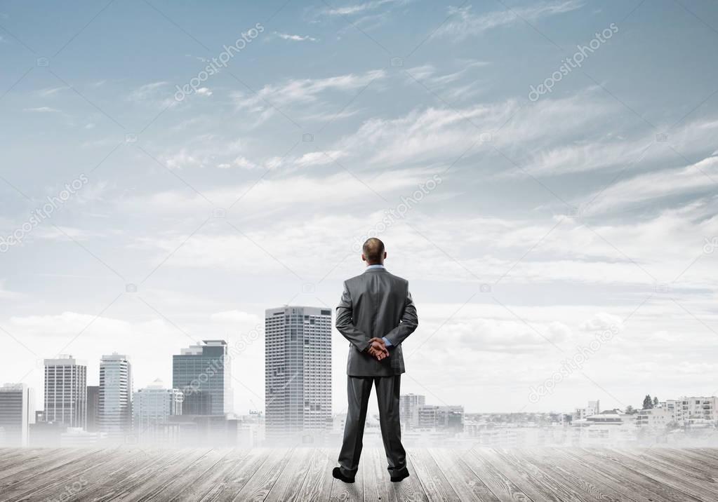 Businessman standing with back and looking at business cityscape