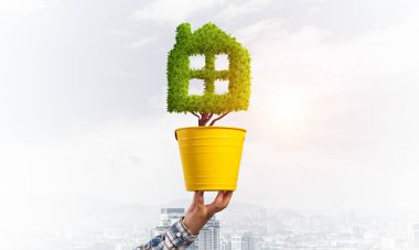 Ev şeklindeki yeşil bitki sarı tencerede yetişir. Şehrin arka planında bitki yetiştirilmiş bir insan eli. Çevre dostu bina teknolojisi ve mimari tasarımı. Gayrimenkul yatırımları