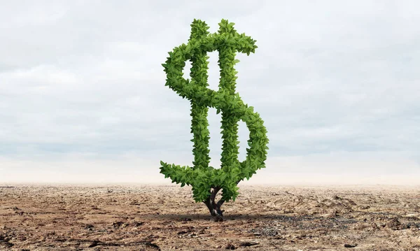 Green plant in shape of dollar sign grows in desert. Nature landscape with dry soil and blue sky. Friendly ecosystem for business and investment. Banking and foreign exchange market.