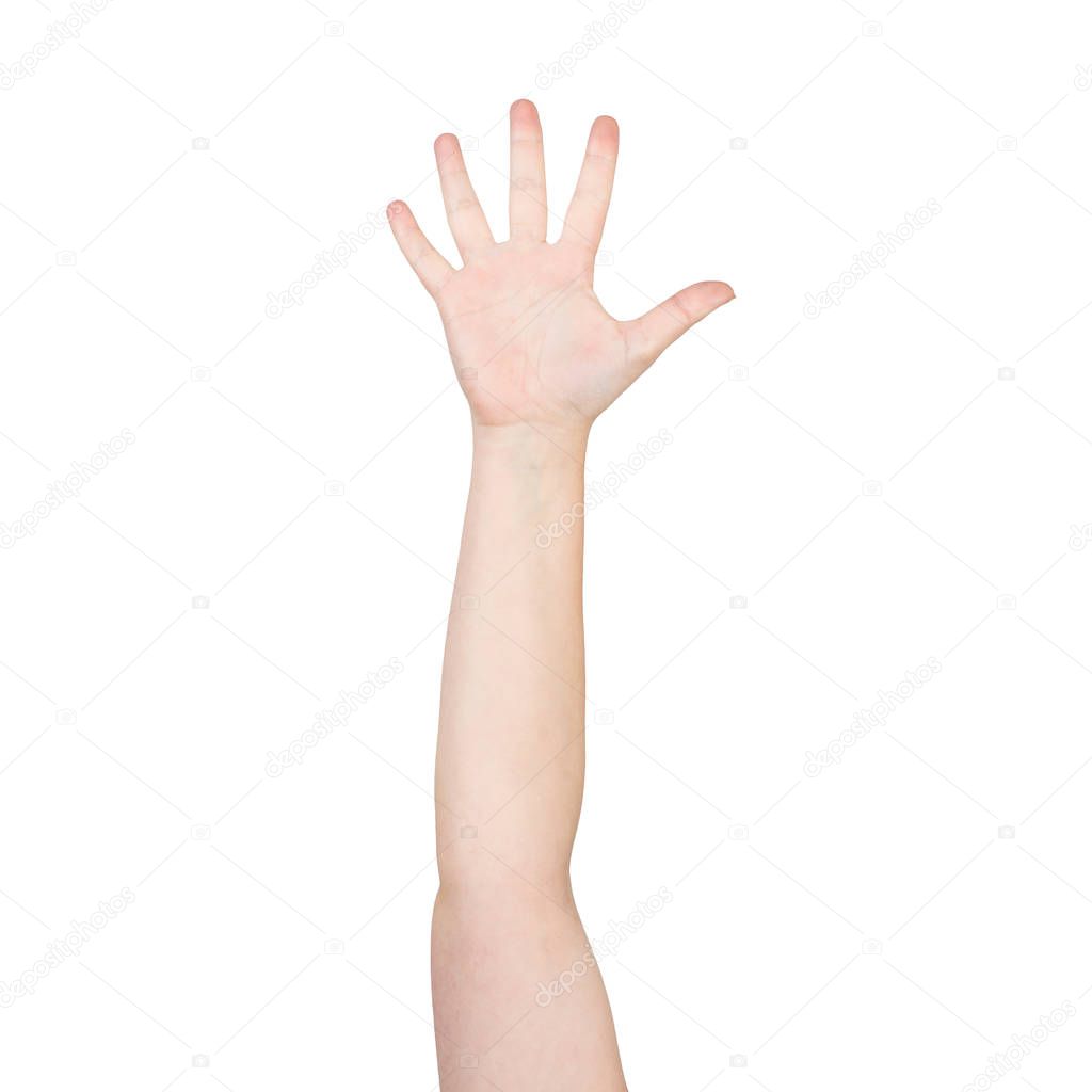 Woman hand showing spread fingers gesture. Participation and voting sign. Human hand gesturing sign isolated on white background studio shot. Female raised arm presenting popular gesture.