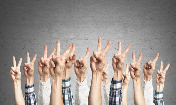 Row of man hands showing victory gesture. Winning or triumph group of signs. Human hands gesturing on background of grey wall. Many arms raised together and present popular gesture.