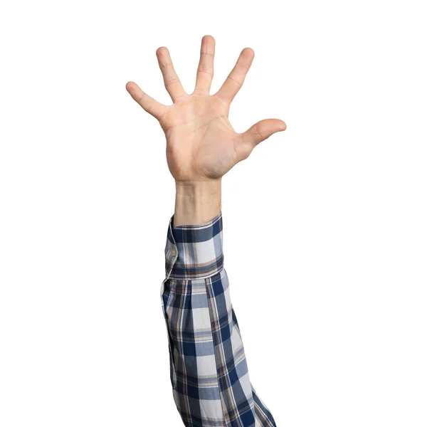 Мужчина Голубой Клетчатой Рубашке Раздвинутыми Пальцами Знак Участия Голосования Человеческая — стоковое фото