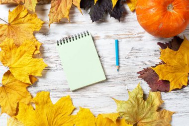 Kalem ve olgun balkabaklı sarmal not defteri parlak yapraklı, eski ahşap masanın üzerinde yatıyor. Şükran Günü kutlamanız kutlu olsun. Tahta yüzeyde sonbahar yapraklarıyla düz bir bileşim vardı..