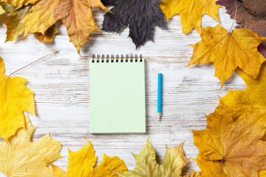 Spiral not defteri ve kalem, parlak yapraklı eski ahşap masanın üzerinde yatıyor. Beyaz ahşap yüzeyde sonbahar yapraklarıyla düz bir bileşim vardı. Gün planlama ve rahatlama. Kopyalama alanı olan boş not kağıdı