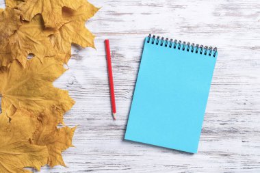 Spiral not defteri ve kalem, parlak sonbahar yapraklarıyla birlikte eski ahşap masanın üzerinde yatıyor. İş ve eğitim kavramı. Beyaz ahşap yüzeyde sonbahar yaprakları ile düz yatıyordu. Kopyalama alanı olan boş not kağıdı.