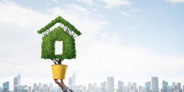 Ev şeklindeki yeşil bitki sarı tencerede yetişir. Şehrin arka planında bitki yetiştirilmiş bir insan eli. Çevre dostu bina teknolojisi ve mimari tasarımı. Gayrimenkul yatırımları