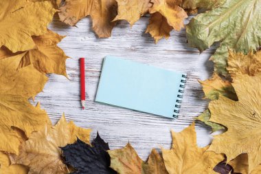 Spiral not defteri ve kalem, parlak sonbahar yapraklarıyla birlikte eski ahşap masanın üzerinde yatıyor. İş ve eğitim kavramı. Beyaz ahşap yüzeyde sonbahar yaprakları ile düz yatıyordu. Kopyalama alanı olan boş not kağıdı.
