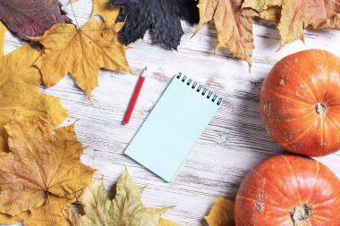 Kalem ve olgun balkabaklarıyla sarmal not defteri parlak yapraklı, eski ahşap bir masanın üzerinde yatıyor. Şükran Günü kutlamanız kutlu olsun. Tahta yüzeyde sonbahar yapraklarıyla düz bir bileşim vardı..